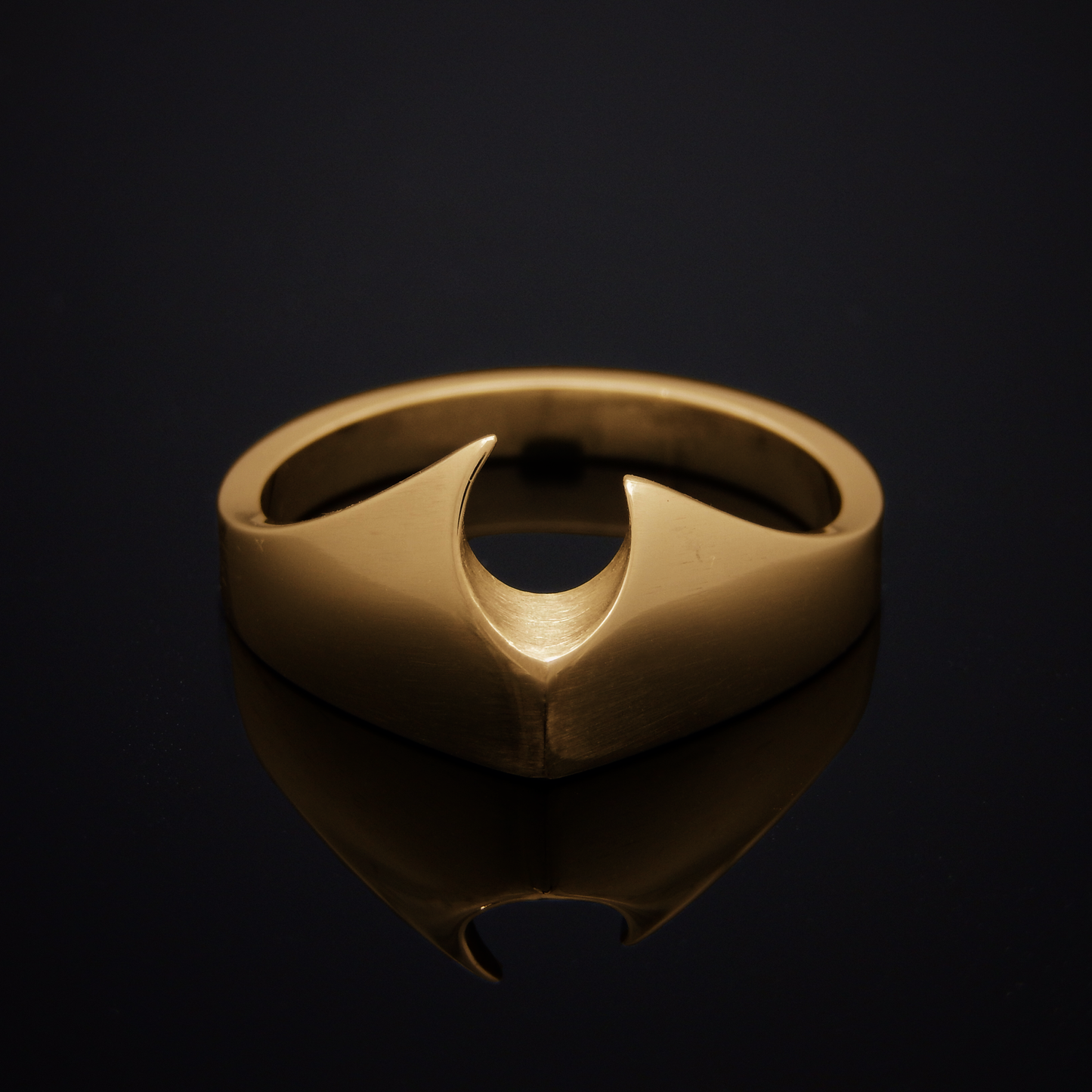 Asymmetrical Ring, Yellow Gold Ring, Gold, Magic Ring, Fantasy Ring, Solid Gold Ring, Eldridge Jewelry